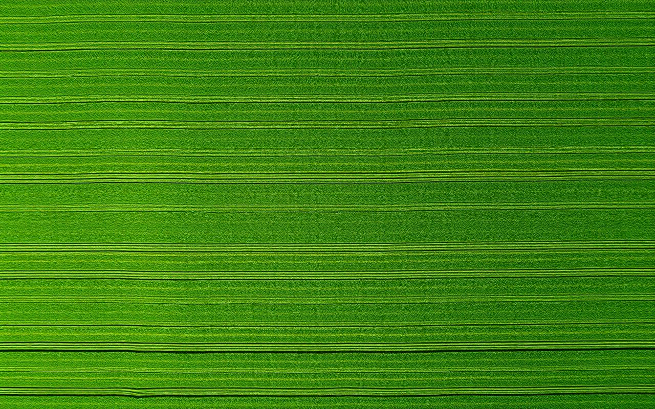 True-color RGB aerial photograph of the same Michigan crop field