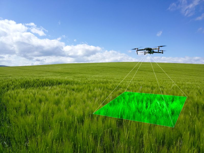 Unlocking the Potential of Crop Monitoring: How Drones Revolutionize Farm Management