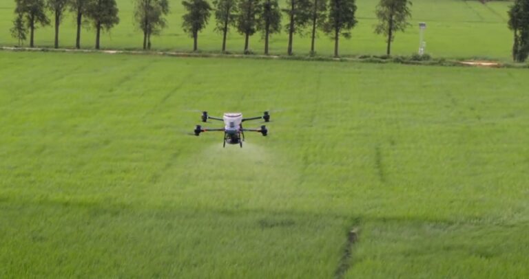 The Role of Drones in Efficient Fertilizer and Herbicide Application