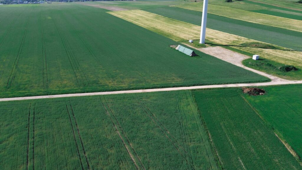 From Field to Table: The Use of Drones in Agriculture and Their Impact on Food Production
